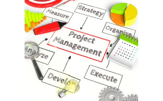 PROJECT MANAGEMENT